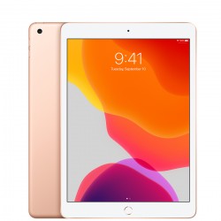 iPad 10.2inch 7e génération 2019 128 Go A2197 WIFI Or Sans Port Sim - État correct