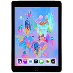 iPad 9.7inch 6e génération 2018 128 Go A1954 WiFi 4G Gris sidéral Cellular - Très bon état