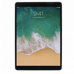 iPad Pro 2017 10.5inch A1709 256 Go WIFI 4G Gris sidéral Cellular - État correct