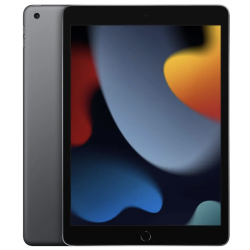 iPad 9e génération 2021 256 Go 10,2" WiFi Gris Sidéral Sans Port Sim - Très bon état