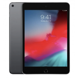 iPad mini 7.9inch 5e génération 256 Gb A2133 WiFi Argent Sans Port Sim - État correct