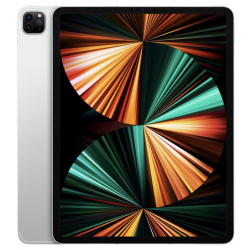 iPad Pro 5e génération 2021 A2461 12,9inch 256 GB WIFI + Cellular Argent - Très bon état
