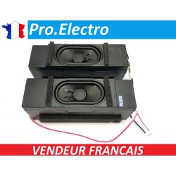 SPEAKER Haut parleur TV HISENSE HE43A6109 T268207