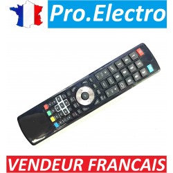 Tele-commande Remote pour TV KT1457-HH L22FED12 L24FED12 L19LDVB11 L19LDVP11 L19LDVN11 L24FE13