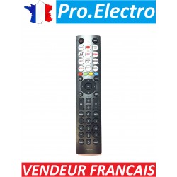 Tele-commande Remote pour TV HISENSE RSAG8.074.6718