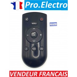 Tele-commande Remote pour TV GRUNDIG YF1187R