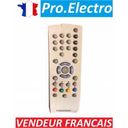 Telecommande remote control pour TV Grundig Tele Pilot 160C