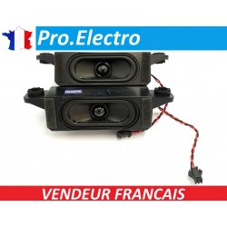 SPEAKER haut parleur LCD MONITOR SONY KD-32W800 X406-C1